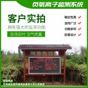 去公園吸氧，看看負氧離子在線監測儀！